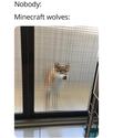 minecraft wolves