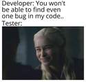 my software has no bugs