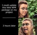 npm package update