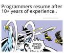 programmers resume after 10 years experience