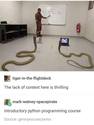 python programming