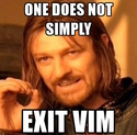 simply exit vim