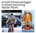 Arnold Master Roshi
