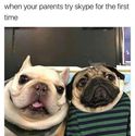 parents try skype for the first time