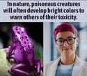 poisonous creatures