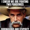 two pandemics