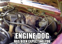 engine dog