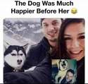 the dog was happier