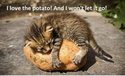 i love the potato