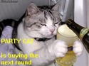 party cat