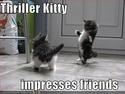 thriller kitty