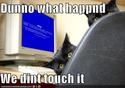 cats-computer-blue-screen-death