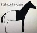defragmentirana zebra