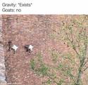 gravity exists