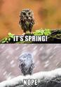 its spring
