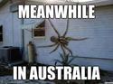 meanwhile in australia