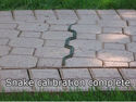 snake calibration