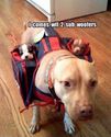 two sub woofers