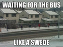 like a swede
