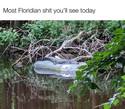 most floridian shit today