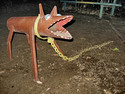 russian playground dog