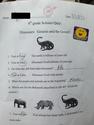 science quiz 4th grade