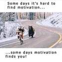 some days its hard to find motivation