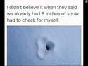 8 inches of snow