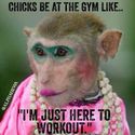 chicks in the gym