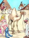 riding camel