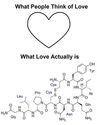 what love actually is