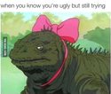 when youre ugly