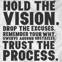 hold the vision trust the process