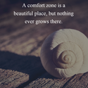 nothing grows in comfort zone