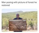 restored forest