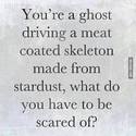 you are a ghost driving skeleton