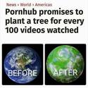 pronhub promises to plant a tree