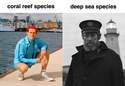 marine species