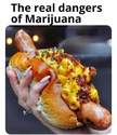 the real dangers of marijuana