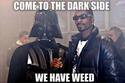 we have weed on the dark side