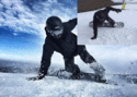 ekstremna fotografia snowboard