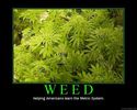 Weed