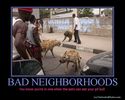 bad neighborhoods