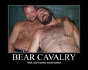 bear cavalry