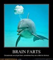 brain fart