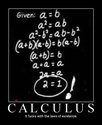 calculus-division by zero