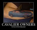 cavalier owners