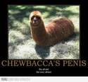 chewbaccas penis