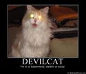 devilcat