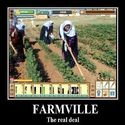 farmville-the real deal